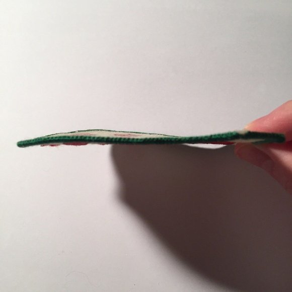 Kentucky Dept of Fish Wildlife Resources Camp John Currie Patch Cardinal Vintage - Picture 8 of 12